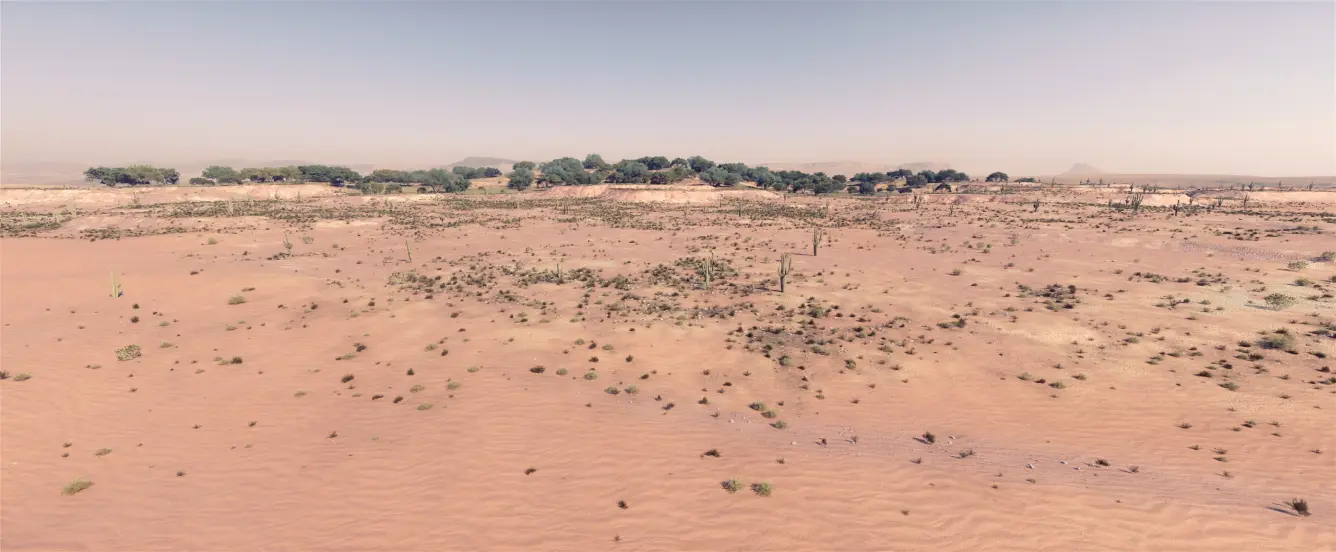 World Creator Terrain Sample 27