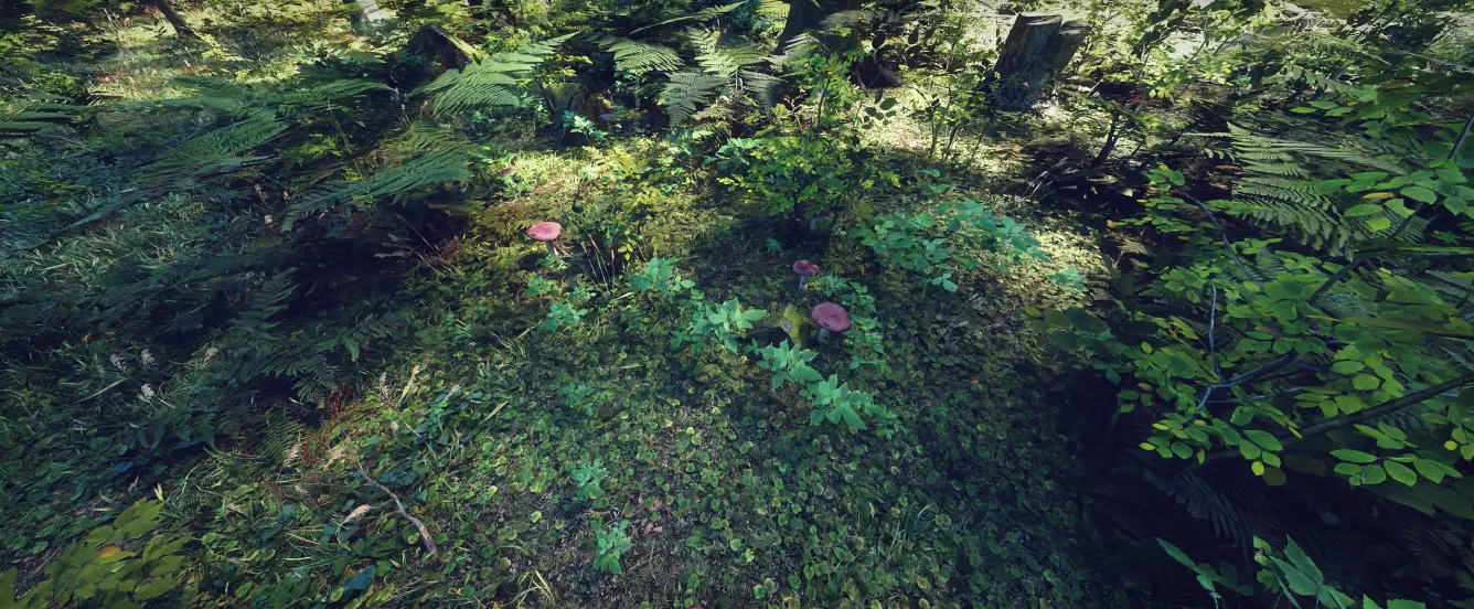 World Creator Terrain Sample 9